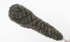 Pen Skoulm - Manche en Vieux Cordage 4
